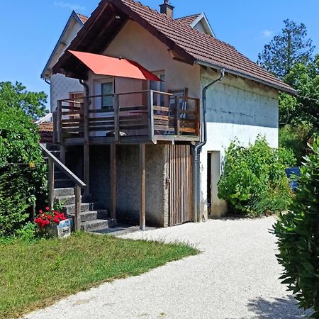 Une Tiny House A Decouvrir Au Coeur De La Cite ! Hotel Contrexéville Exterior photo